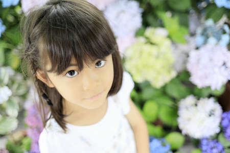 Japanese girl and hydrangea (7 years old)の写真素材