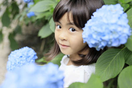 Japanese girl and hydrangea (7 years old) (blue)の写真素材