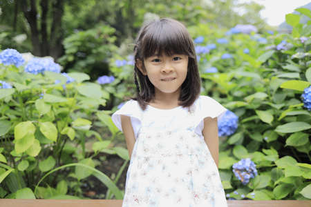 Japanese girl and hydrangea (7 years old) (blue)の写真素材