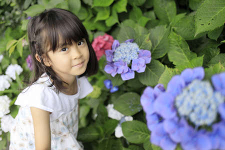 Japanese girl and hydrangea (7 years old)の写真素材
