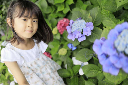 Japanese girl and hydrangea (7 years old)の写真素材