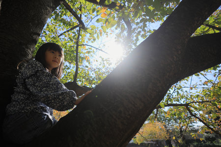 Japanese student girl climbing the tree (8 years old)の写真素材