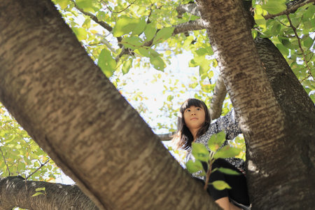 Japanese student girl climbing the tree (8 years old)の写真素材