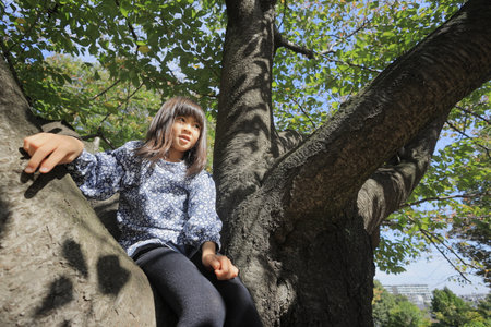 Japanese student girl climbing the tree (8 years old)の写真素材