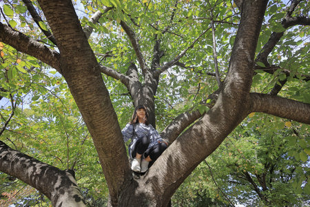 Japanese student girl climbing the tree (8 years old)の写真素材