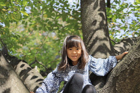 Japanese student girl climbing the tree (8 years old)の写真素材