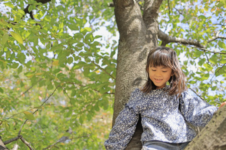 Japanese student girl climbing the tree (8 years old)の写真素材