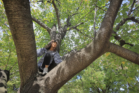 Japanese student girl climbing the tree (8 years old)の写真素材
