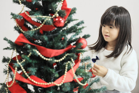 Japanese student girl decorating Christmas tree (8 years old)の写真素材