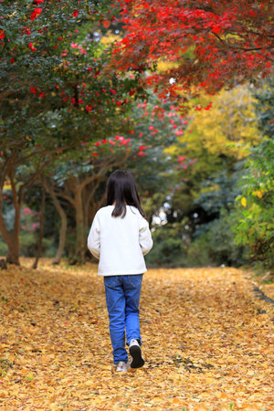 Japanese student girl walking in autumn leaves forest (8 years old)の写真素材