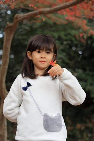 autumn leaves and Japanese student girl (8 years old)の写真素材