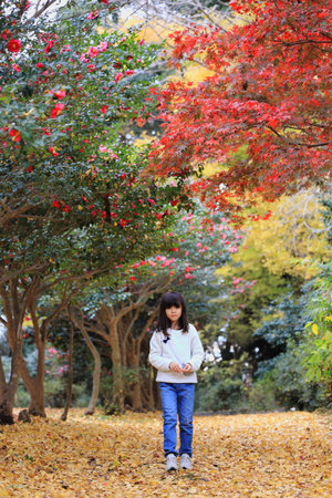 Japanese student girl walking in autumn leaves forest (8 years old)の写真素材