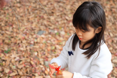 autumn leaves and Japanese student girl (8 years old)の写真素材