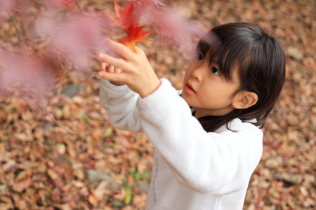 autumn leaves and Japanese student girl (8 years old)の写真素材