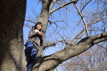 Japanese student girl climbing the tree (8 years old)の写真素材