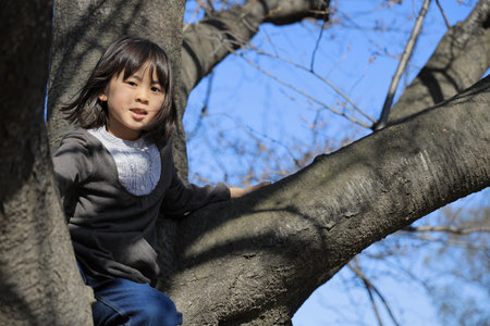 Japanese student girl climbing the tree (8 years old)の写真素材