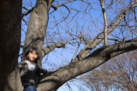 Japanese student girl climbing the tree (8 years old)の写真素材