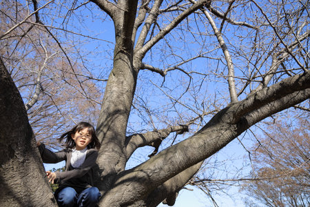 Japanese student girl climbing the tree (8 years old)の写真素材