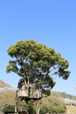tree house in Inatori highland, Higashi Izu, Shizuoka, Japanの写真素材