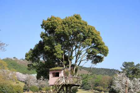 tree house in Inatori highland, Higashi Izu, Shizuoka, Japanの写真素材