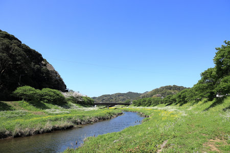 Aono river riverside in spring in Minami Izu, Shizuoka, Japanの写真素材