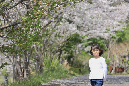 Japanese student girl and cherry blossoms (8 years old)の写真素材