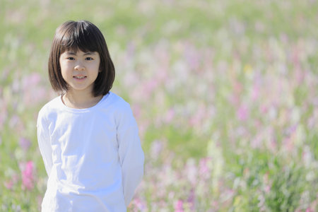 Japanese student girl in linaria garden (8 years old)の写真素材