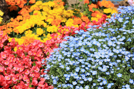 flower gardenの写真素材