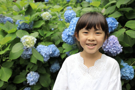 Japanese girl and hydrangea (8 years old)の写真素材