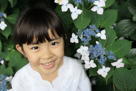 Japanese girl and hydrangea (8 years old) (blue and white)の写真素材