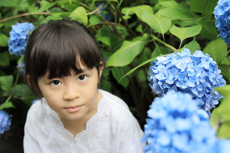 Japanese girl and hydrangea (8 years old) (blue)の写真素材