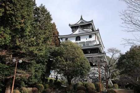 Iwakuni castle in Iwakuni, Yamaguchi, Japanの写真素材