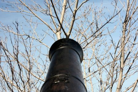 a gun is pointed right at trees symbolizing destruction of natureの写真素材