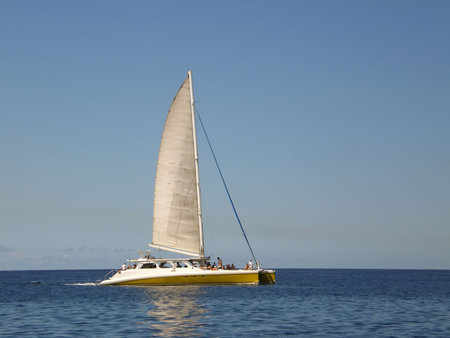 yellow catamaran sailboat on the oceanの写真素材