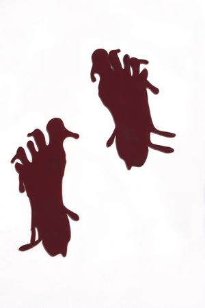 bloody footprints for halloweenの写真素材