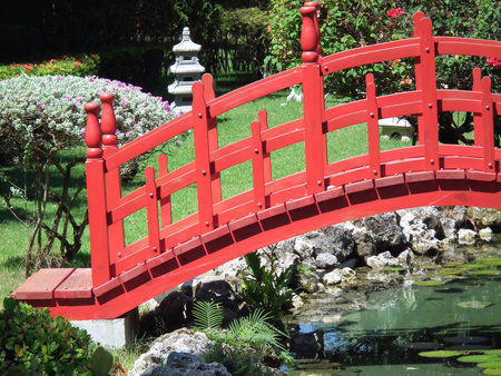 red asian bridge in gardenの写真素材