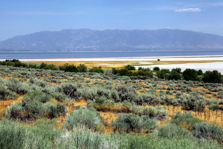 Antelope Islandの写真素材