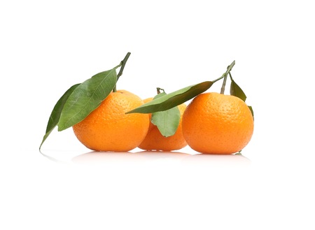 Mandarins with fresh green sprig isolated on white backgroundの写真素材