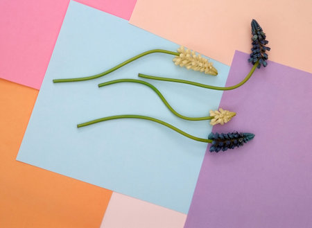 Composition with artificial flower isolated on a multi-colored background