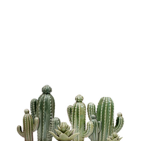 Ceramic cactus Isolated on white backgroundの写真素材