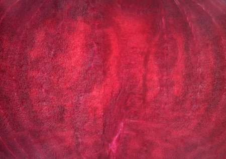 Isolated background: Red beet slice closeup