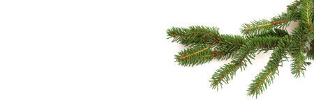 Christmas tree branch isolated on white background to create greeting cards, posters and banners
