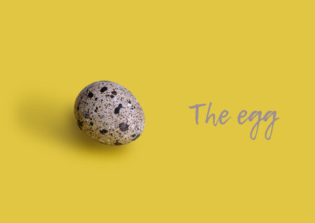 Variegated quail egg isolated on yellow backgroundの写真素材