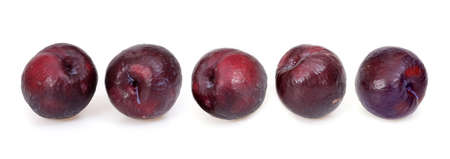Fresh plums isolated on a white backgroundの写真素材