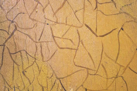 Isolated oil painting on canvas close-up (macro)の写真素材