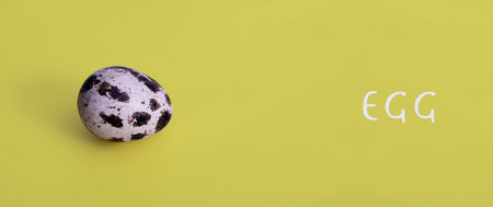 Variegated quail egg isolated on yellow background