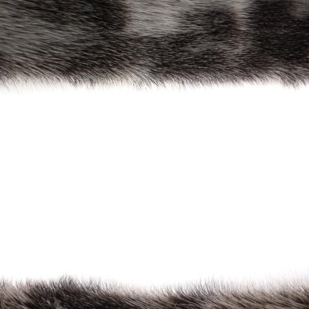 Beautiful background from spotted natural fur (seal)の写真素材