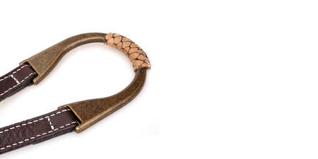 Leather belt with reptile decor isolated on a white backgroundの写真素材