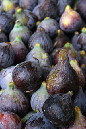 isolated background. Lots of figs in the storeの写真素材