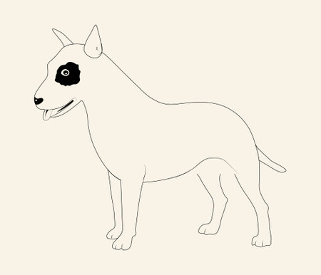 vector drawing. Black dog isolated on white background. bull terrierのイラスト素材